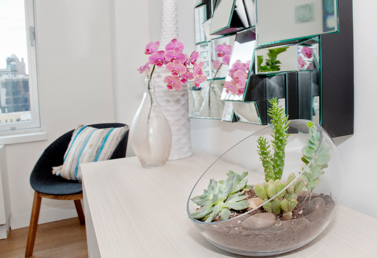 Top 5 Indoor Plant Care Tips | Eko Pearl Towers