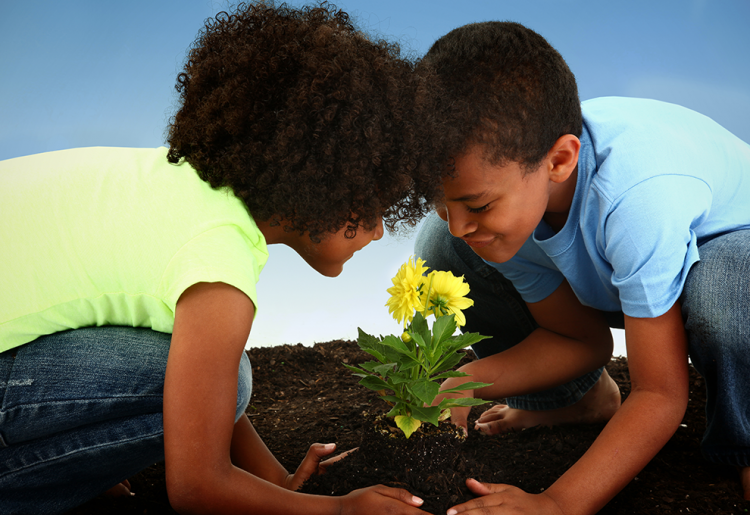 This New Year Teach Your Kids To Go Green | Eko Pearl Towers